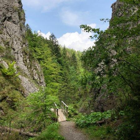 Domek Trzy Doliny Zakopane, Three Valleys Chalet With Jacuzzi Exterior foto
