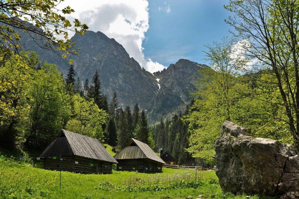 Domek Trzy Doliny Zakopane, Three Valleys Chalet With Jacuzzi Exterior foto