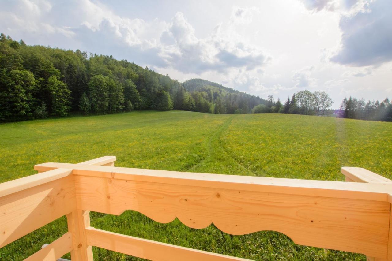 Domek Trzy Doliny Zakopane, Three Valleys Chalet With Jacuzzi Exterior foto
